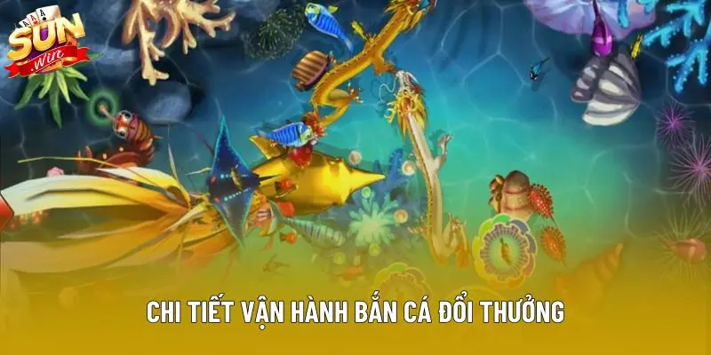 Chi tiết vận hành bắn cá đổi thưởng Chi tiết vận hành bắn cá đổi thưởng